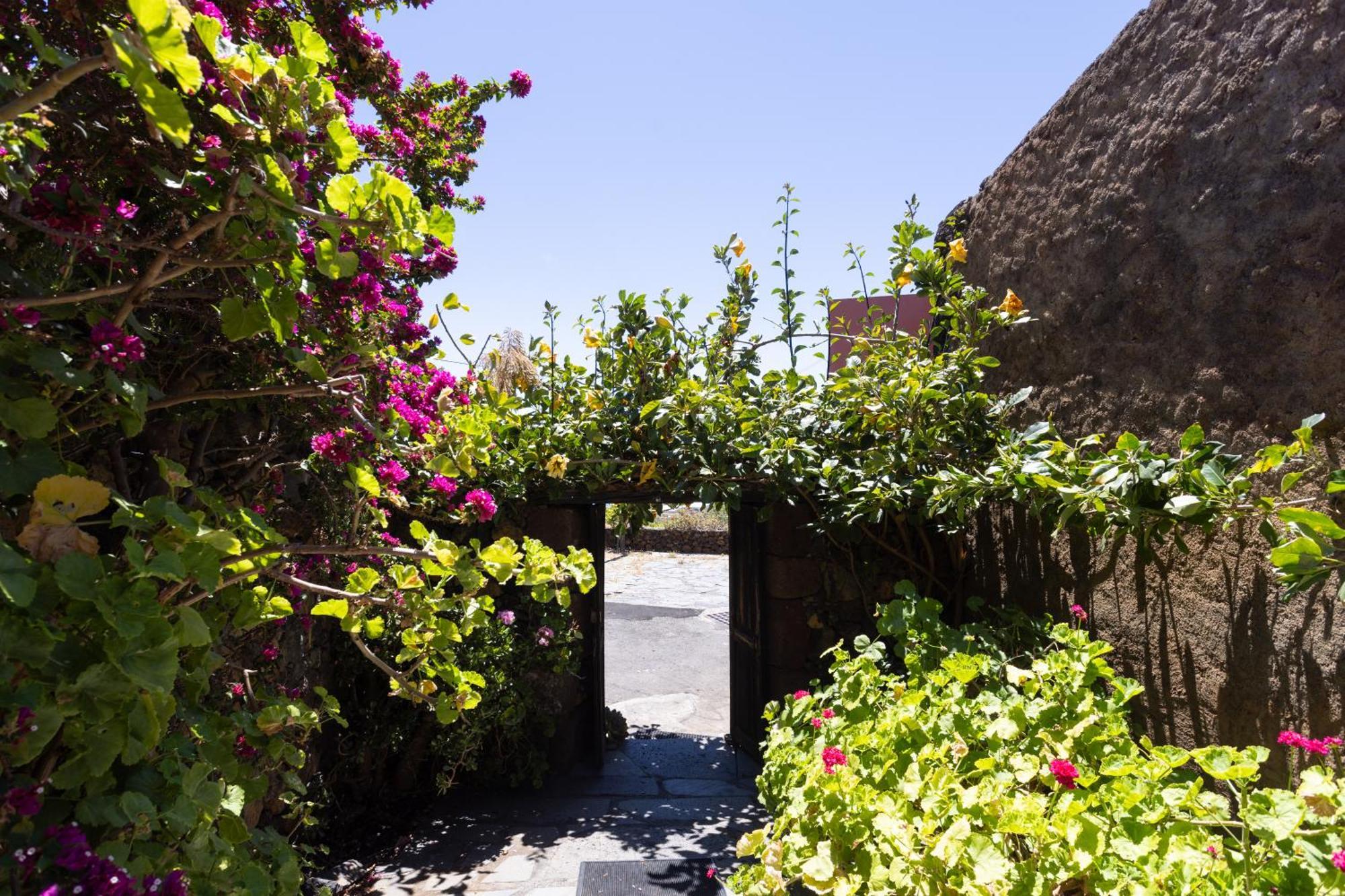 Charming Rustic House El Pinar & Wifi 게스트하우스 외부 사진