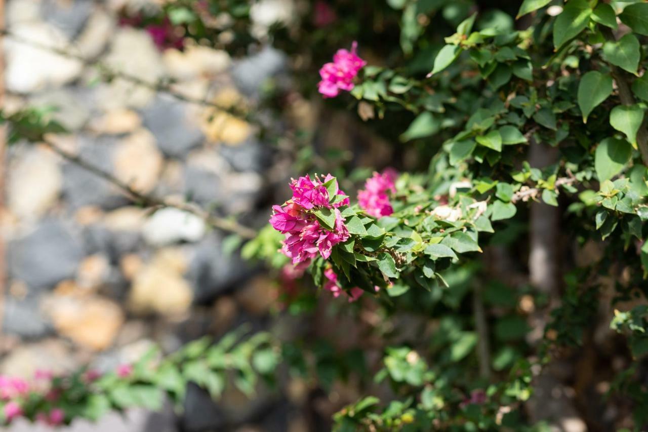 Charming Rustic House El Pinar & Wifi 게스트하우스 외부 사진